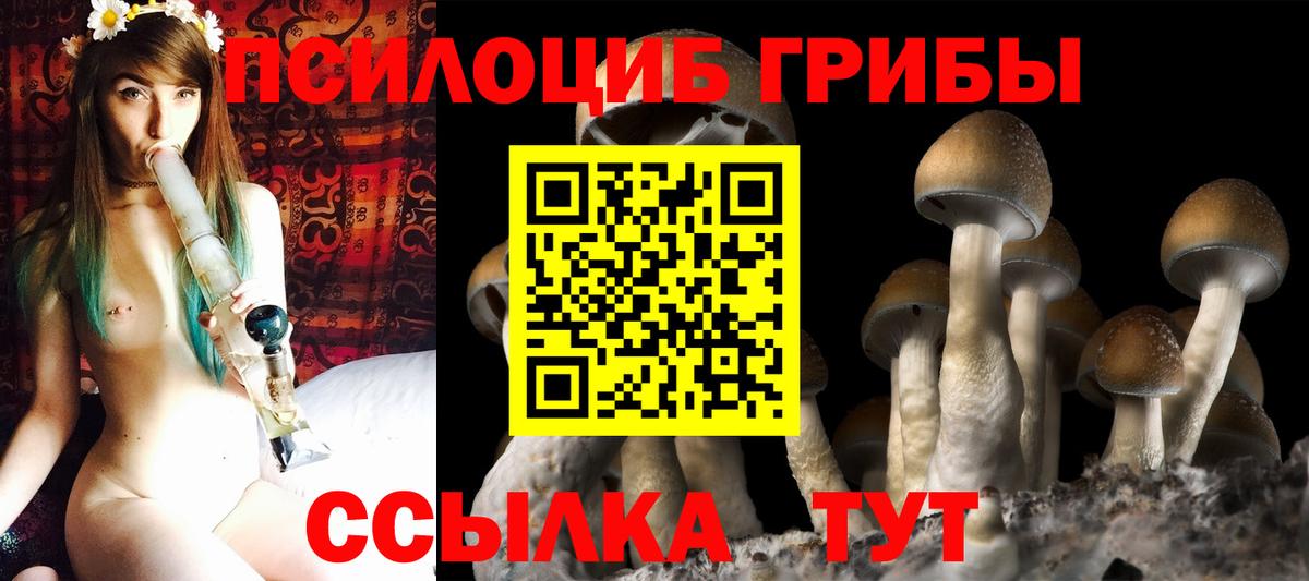 Галлюциногенные грибы MAGIC MUSHROOMS Арсеньев